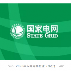 祝賀縱覽線纜集團(tuán)成功進(jìn)入國家電網(wǎng)供應(yīng)商名錄，成為廣西唯一一家進(jìn)入國網(wǎng)的電線電纜供 ...