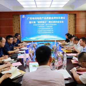 廣西市場(chǎng)監(jiān)管局工作組到我司開展“提質(zhì)強(qiáng)企”幫扶調(diào)研活動(dòng) ...